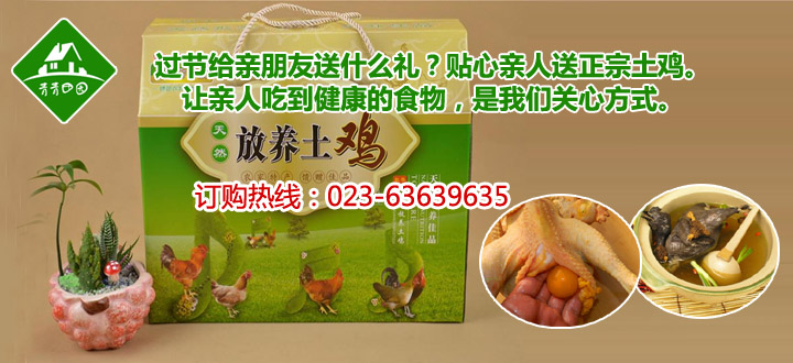 盒装活禽重庆正宗土鸡